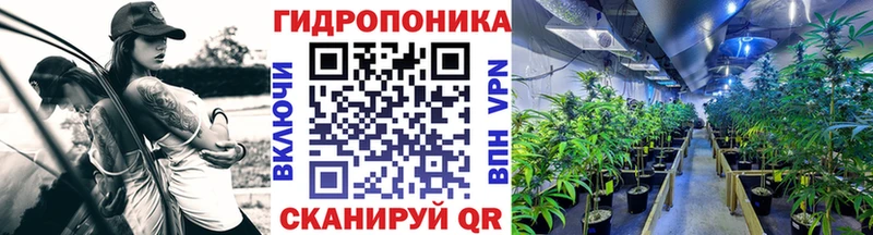 НБОМе Змеиногорск
