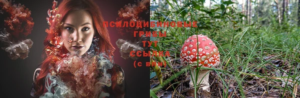 jwh Бронницы
