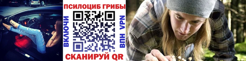 магазин  наркотиков  гидра как войти  Псилоцибиновые грибы мухоморы  Змеиногорск 